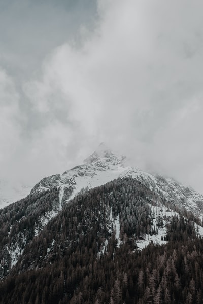 山上覆盖着雪和雾
